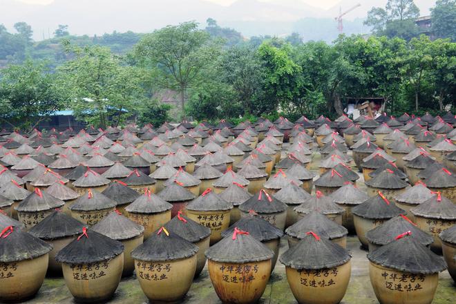 百年匠心酿岁月 薪火相传谱新篇PG麻将胡了网站入口江津酿造：(图7)