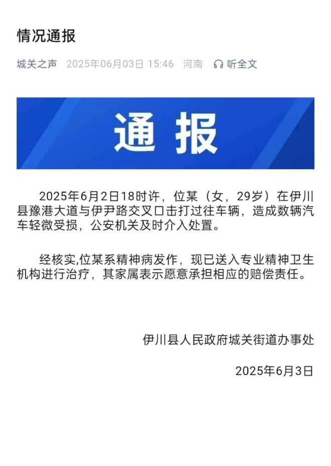 通报：系精神病发作家属愿意承担赔偿麻将胡了女子持械当街打砸多辆轿车(图3)
